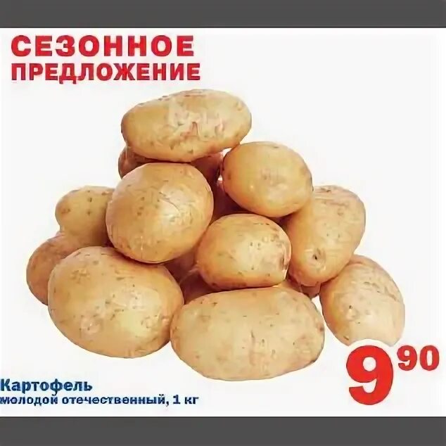 Купить картофель в ставропольском. Картофель предложение. Картофель акция. Сколько стоит картошка в перекрестке. Сколько стоит картофель в перекрёстке.