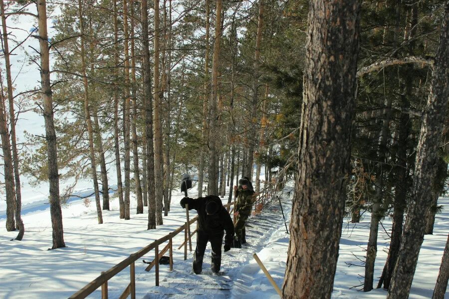 У просеки никитич осторожно выглянул из чащи. Рекреация Ерцево. Фото рекреации в лесу. Забайкальский национальный парк пересказ.