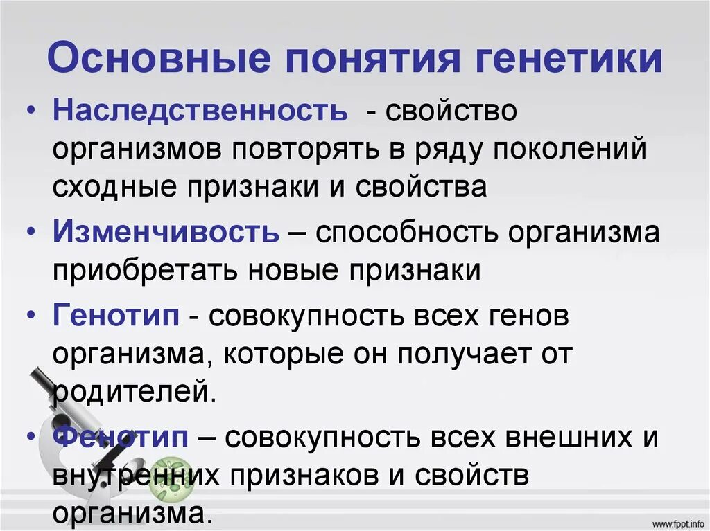 Свойство организма передавать свои признаки потомству. Основные понятия генетики. Основные термины генетики. Основные понятия в генетике. Ключевые понятия генетики.