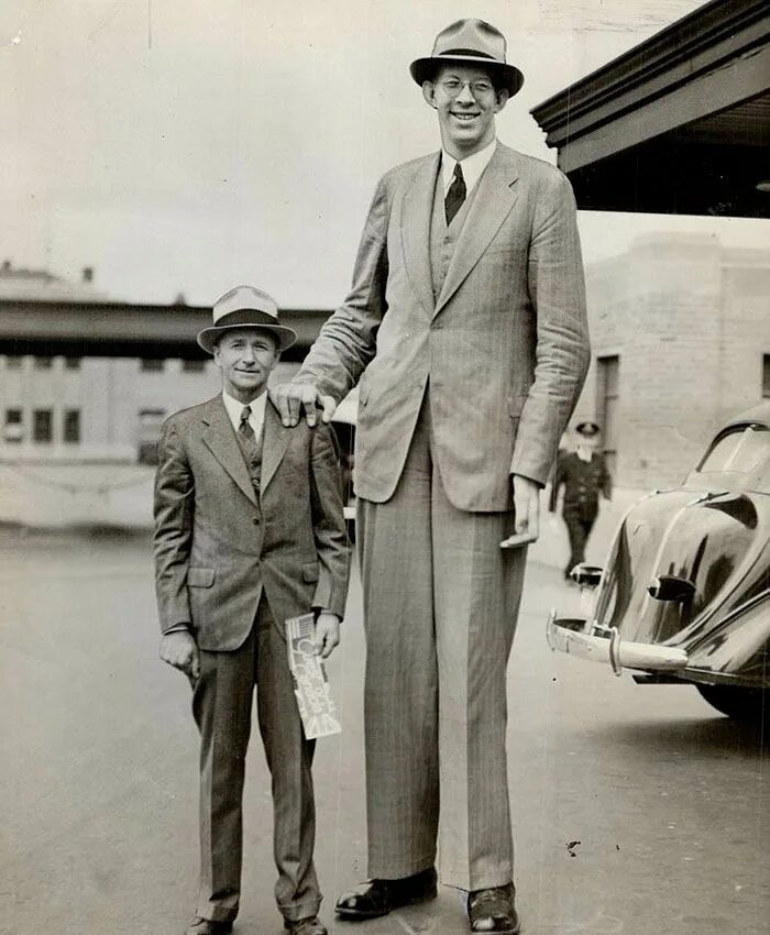 Tall person