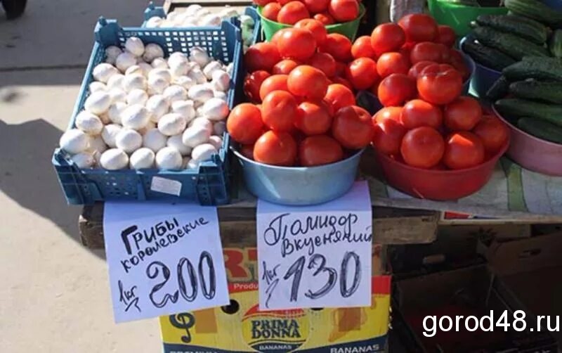 Ценники на рынке. Смешные названия овощей и фруктов на рынке. Смешные надписи на фруктах на рынке. Прикольные надписи на рынках овощей и фруктов.