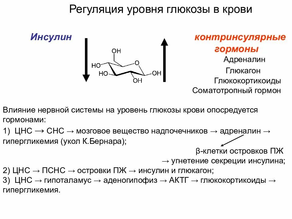 Роль инсулина в регуляции уровня Глюкозы.. Механизм регуляции Глюкозы. Регуляция уровня сахара в крови роль инсулина и глюкагона. Роль в регуляции уровня Глюкозы в крови.. Повышен уровень адреналина в крови