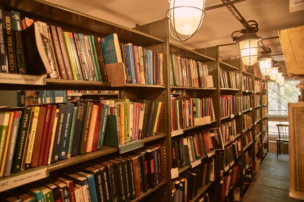 Домашние библиотеки. Сказочный книжный город. Книги на дом в библиотеке. Домашняя библиотека интерьер. Книги на дом в библиотеке.