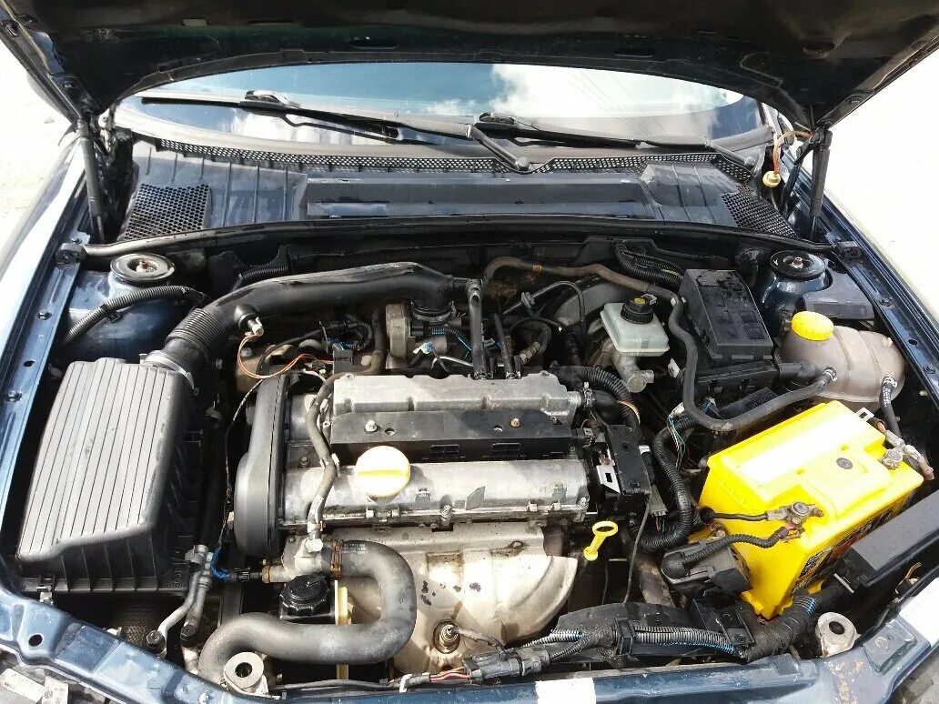 Двигатель 1.8 вектра б. Опель Вектра б 1.6 подкапотка. Opel Vectra b 1.6. Opel Vectra 1996 1.6 мотор. Opel Vectra b 2000 1.6.