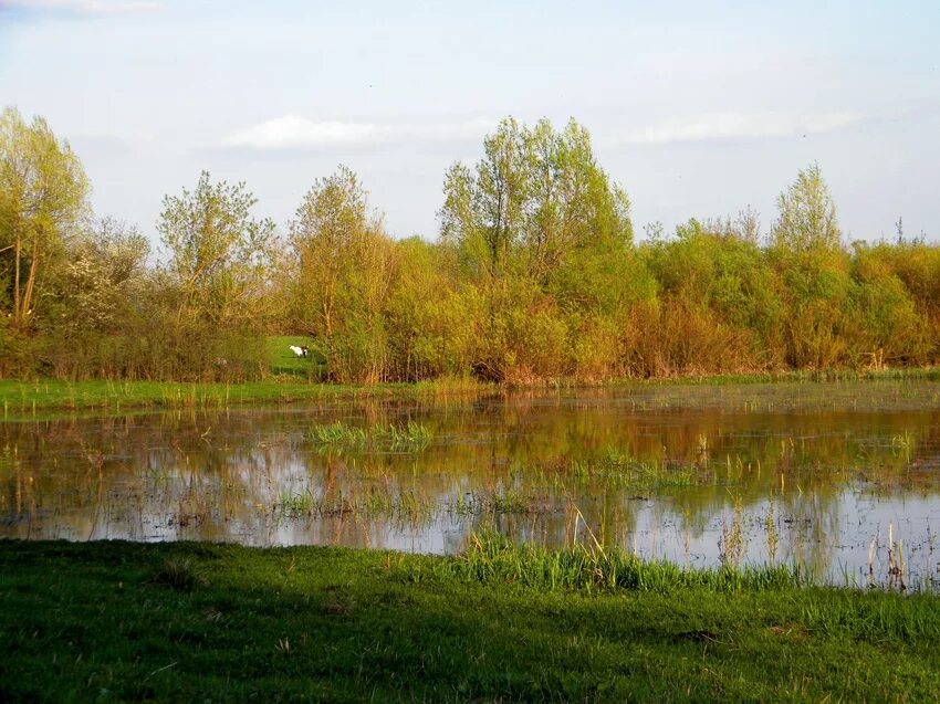 Село сподарюшино белгородской области. С.Мощеное Грайворонский район. Село Мощеное Грайворонского района. Мощеное Грайворонский район Белгородская область. Село Мощеное Грайворонского района Белгородской.