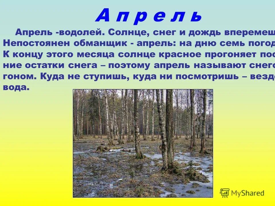 Что бывает в мае. Что бывает в мае. Что бывает в мае. Цветущие деревья. Цветение деревьев россии.