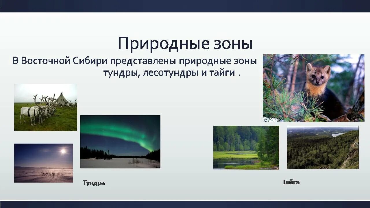 В каких природных зонах расположена сибирь. Северная Восточная Сибирь природные зоны. Природные зоны Восточно сибирской тайги. Природные зонывосточнойчибир. Природные зоны Западной Сибири.