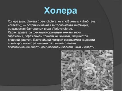 Куриная холера