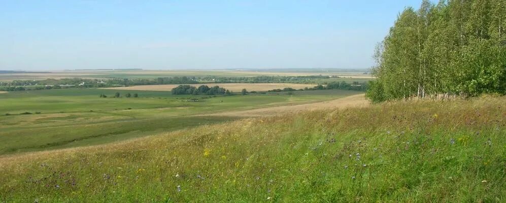 Починок область. Село Маресево Починковского района Нижегородской области. Нижегородская область Починковский район село Маресьево. Рудня Починковский район. Рудня Починковский район Нижегородская область.