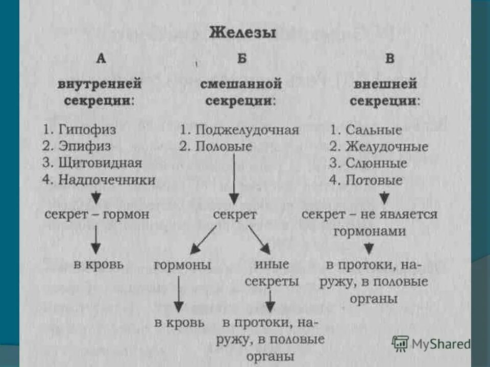 Биология железы внутренней и внешней секреции. Классификация желез внутренней секреции схема. Таблица по биологии 8 класс железы внешняя секреция. Эндокринная система железы внешней секреции таблица. Эндокринные железы внутренней секреции таблица.