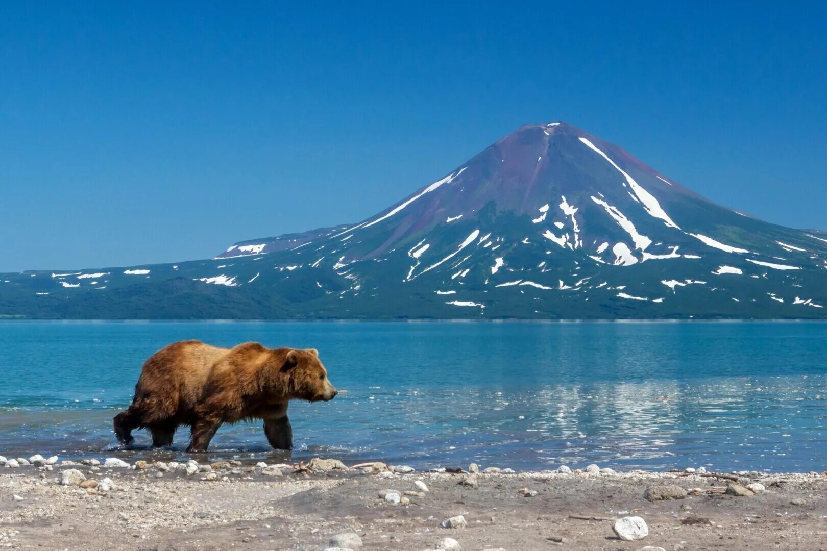 Unique kamchatka. Курильское озеро Камчатка тур. Курильское озеро.Петропа́вловск-Камча́тский. Южно-Камчатский заказник Курильское озеро. Кроноцкий заповедник Камчатский край.