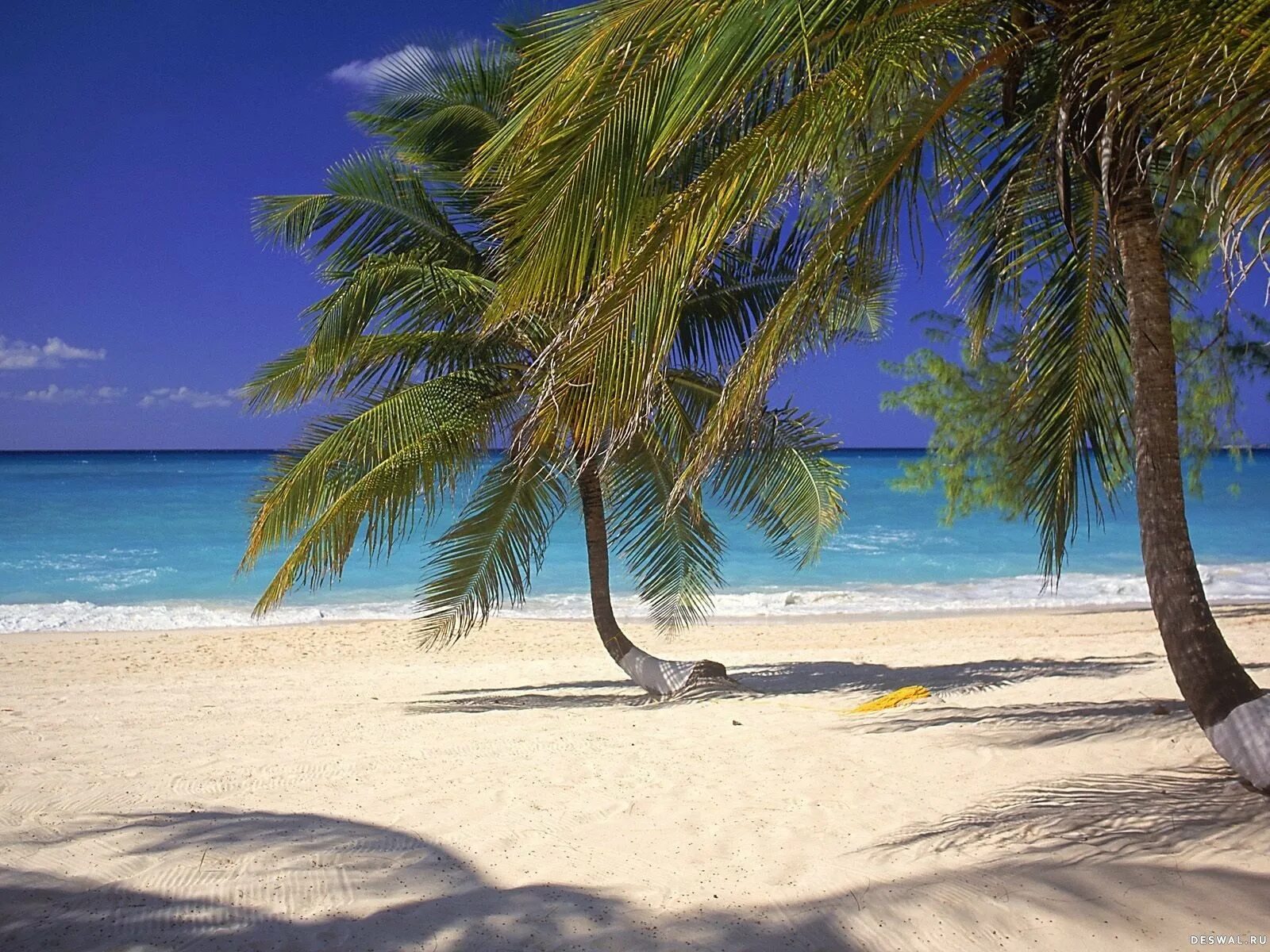 Mar caribe