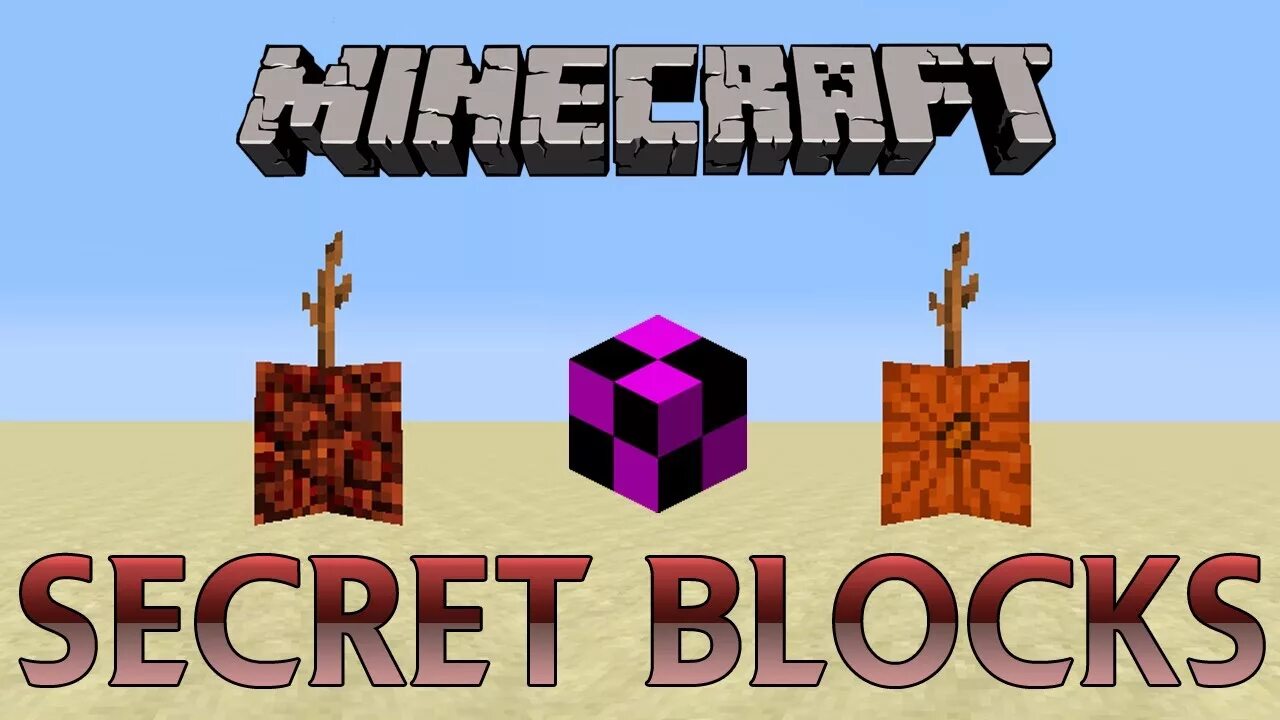 Secret blocks. Secret blocks minecraft. secret block.