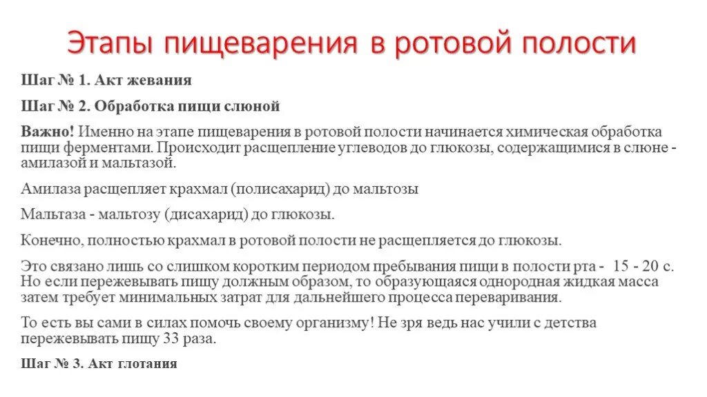 Этапы пищеварения в полости рта. Фазы пищеварения в ротовой полости. Этапы усвоения пищи. Пищеварение этапы пищеварения.