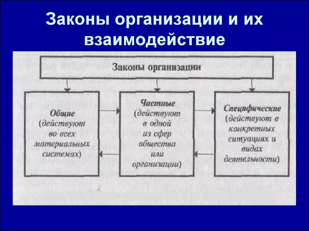 Основные классификации законов. Законы организации. Взаимосвязь законов организации. Организационные законы. Законы организации в теории организации.