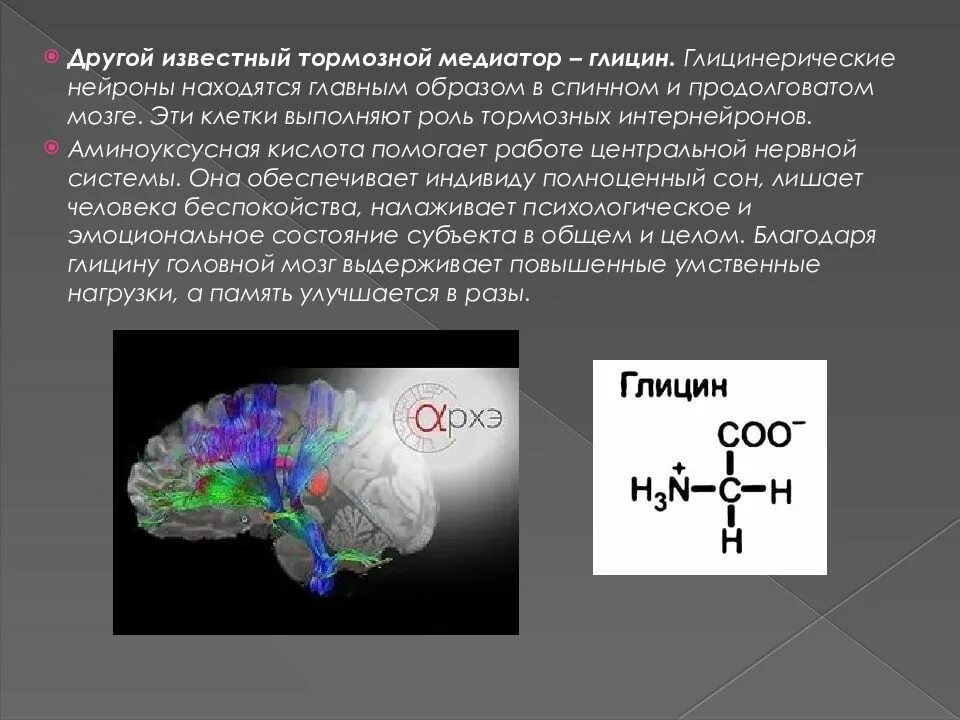 Плотность нервных клеток в мозге является особенностью