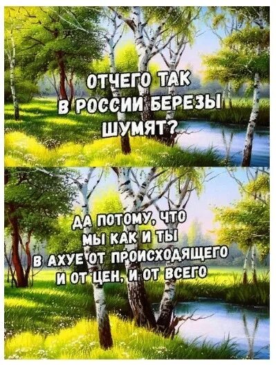 Отчего так в России березы шумят. Почему так в России березы шумят. От чего берёзы шумят. Березы шумят отчего. От чего так березы шумят слова