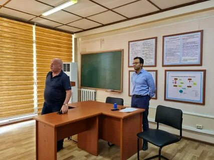 Viola energy tashkent
