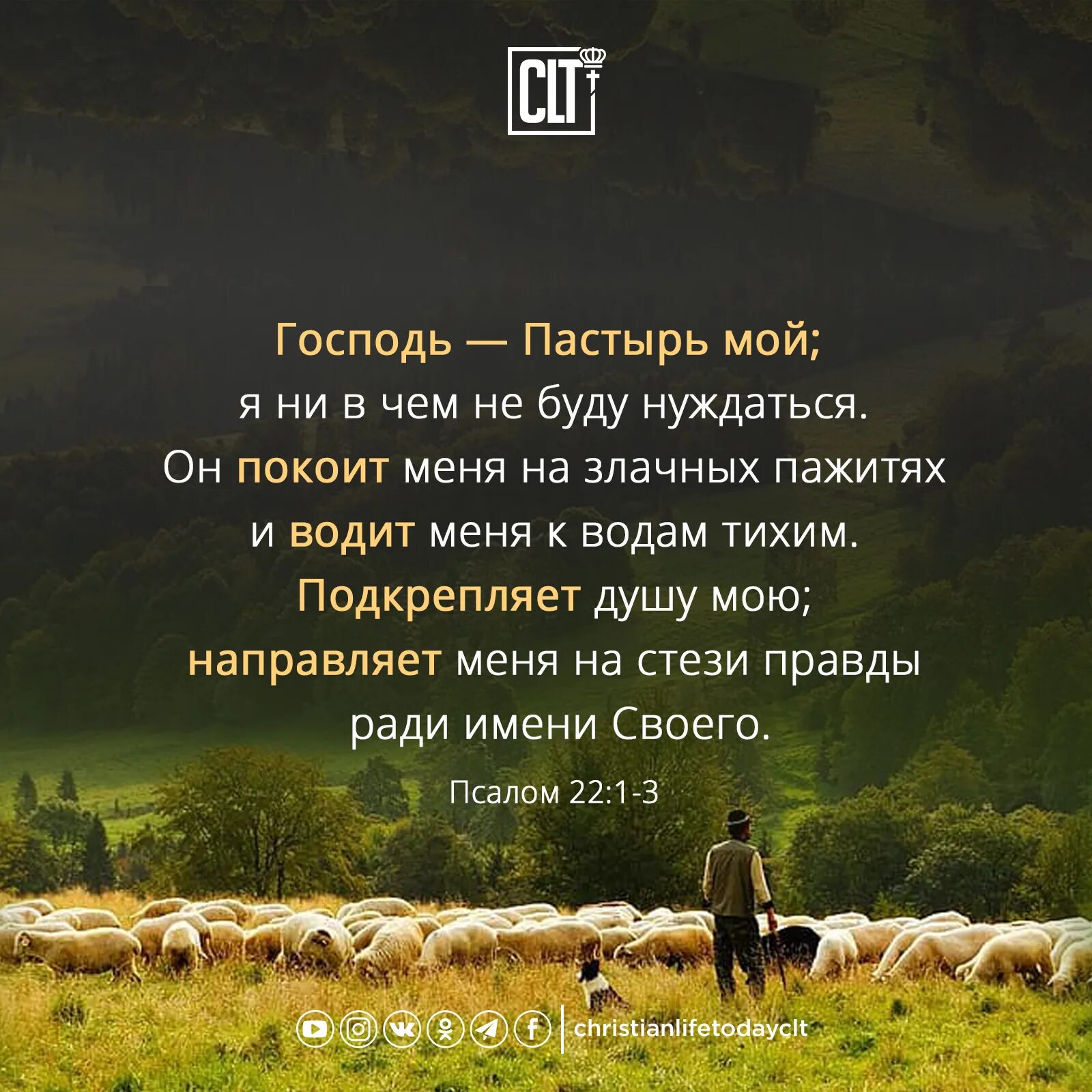 Господь Пастырь мой. Псалом Господь Пастырь. Господь Пастырь. Библия Господь Пастырь мой.