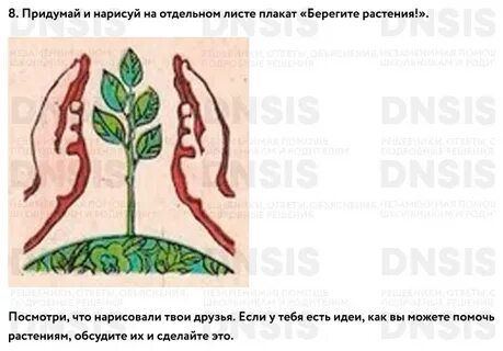Берегите растения 3 класс