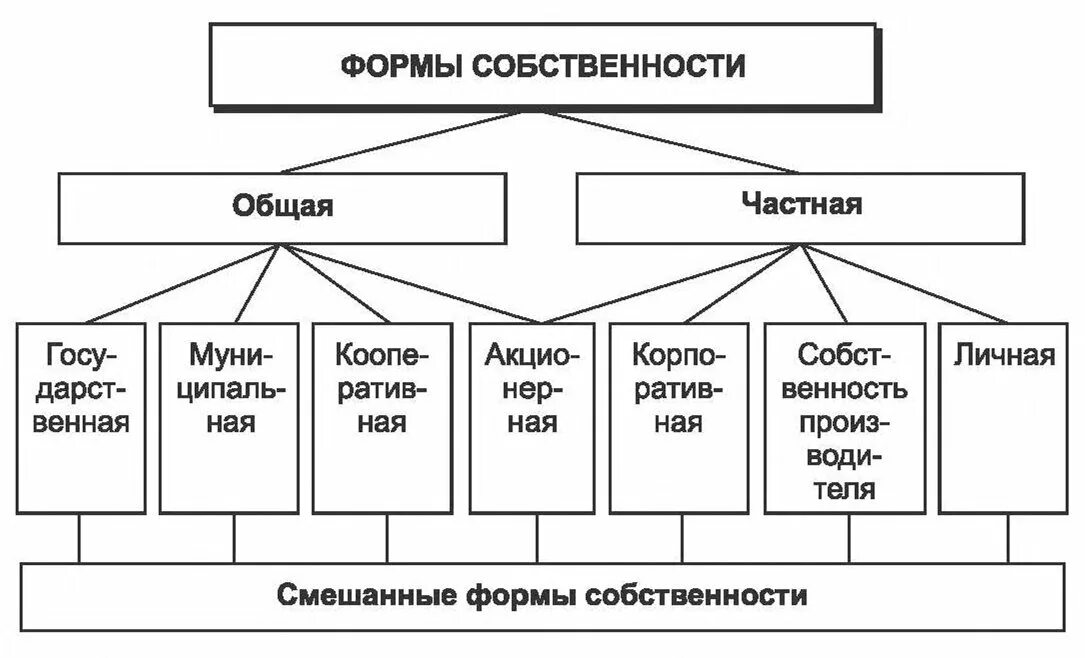 Форма система собственность