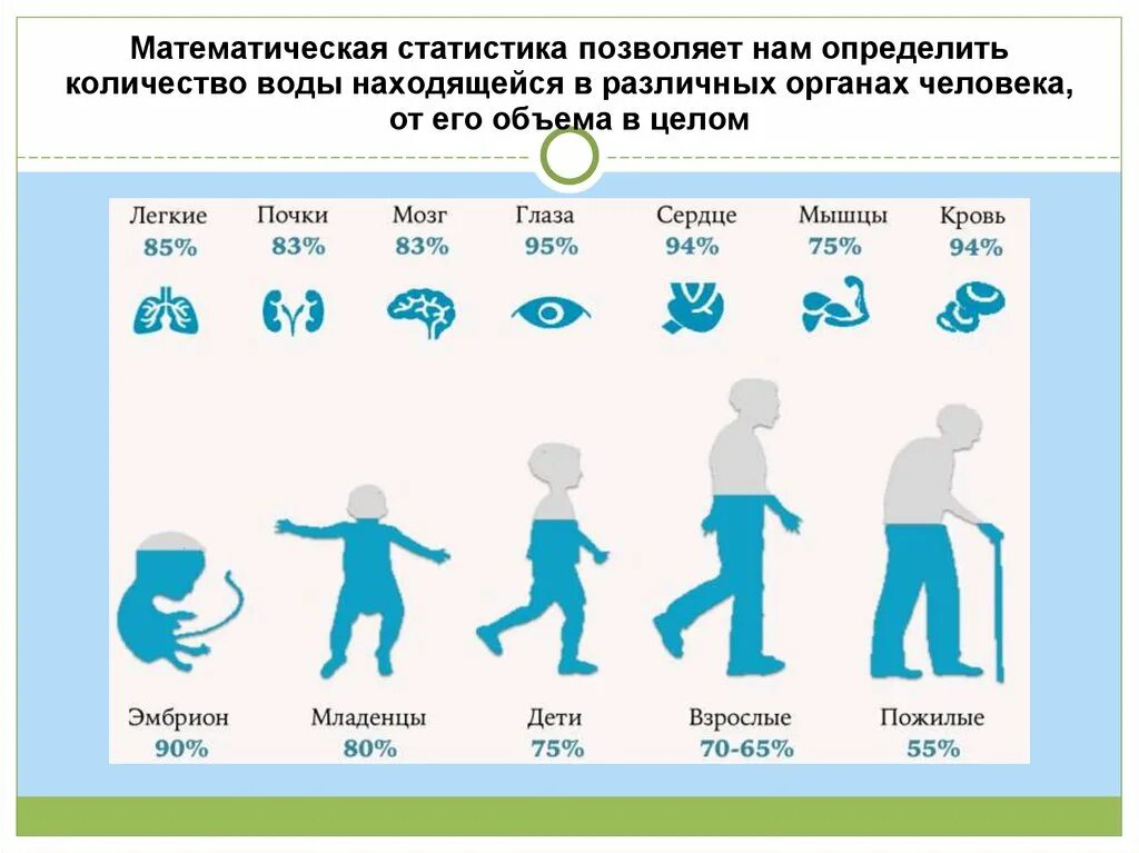 Сколькт процентов атды в человеке. Сколько процентов воды в человеке. Сколько % воды варганизме. Сколько процентов аоды в сещовнке.