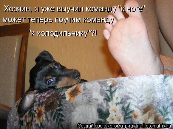 Хозяин я с тобой. Хозяин я с тобой