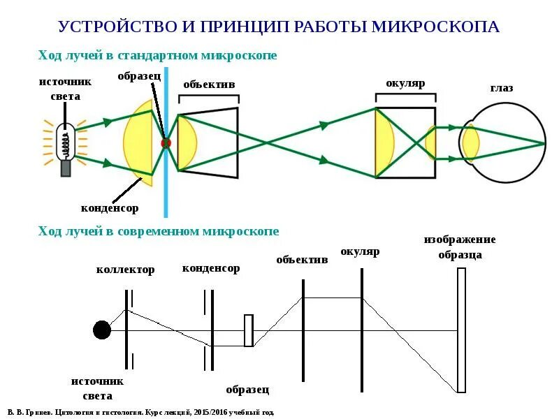 Окуляр в телескопе кеплера это. Увеличение микроскопа. Диаметр объектива телескопа. Окуляр дает изображение. Телескоп кеплера оптическая схема.