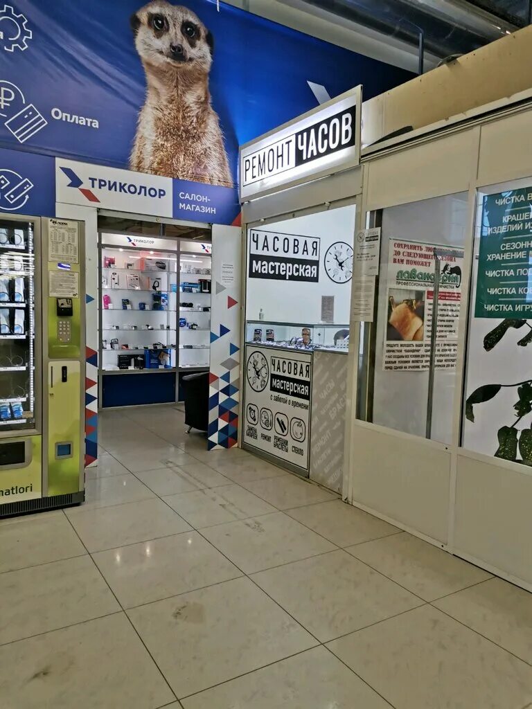 часовые мастерские в архангельске. часовая мастерская архангельск. экспресс час 1. счастливый взгляд северодвинск. ближайшая часовая мастерская.