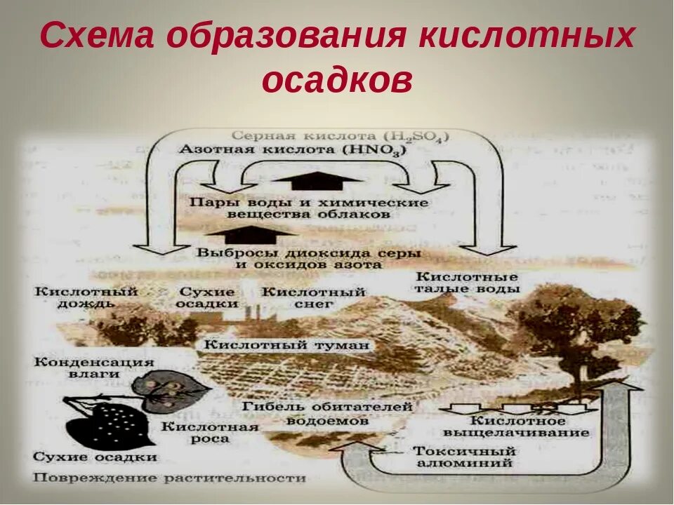 Причины образования осадков. Схема образования кислотных дождей. Причины образования кислотных осадков. Как образуются кислотные дожди. Механизм образования кислотных осадков.