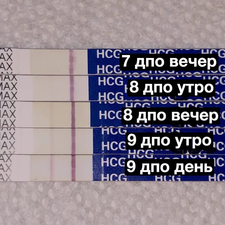 Беременность после хгч форум. Дни ДПО. 8 День после овуляции. 8 ДПО тест. Тесты на беременность по дням.