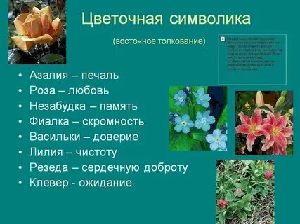 Книга со значениями цветов
