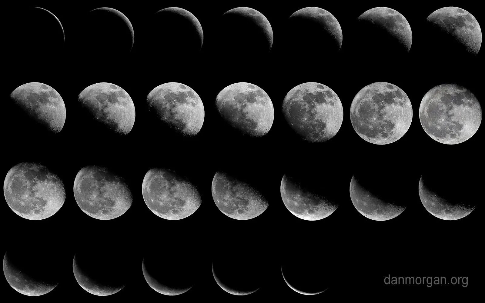 Контра луны. Phases of the moon 2000. фаза растущей луны. убывающая луна. лунный месяц.