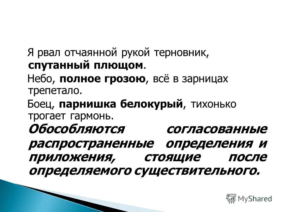 ю лермонтова. терновый венец и гвозди. цитаты из поющие в терновнике. терновый венец христа. терновник эстетика.