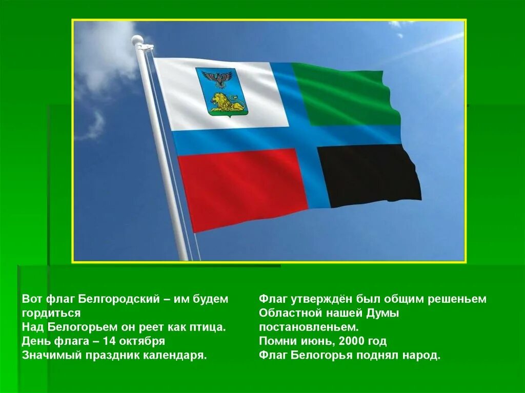 Флаг праздника день. 14 Октября день флага Белгородской области. День Белгородского флага. Флаг Белгородчины. Флаг Белгородской области презентация.