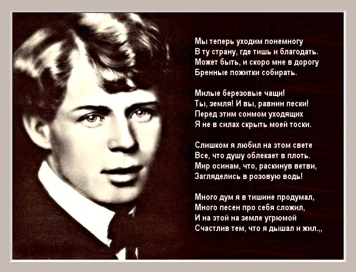 Каждому метру я посвящаю строки. Есенин знаменитые строки. стихотворения известных поэтов. стихи классиков.