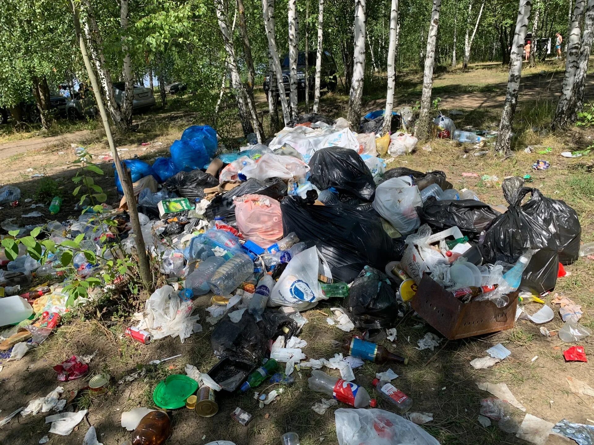 Завалена мусором. Экология мусор. Мусор в лесу. Свалки в России. Гора мусора.