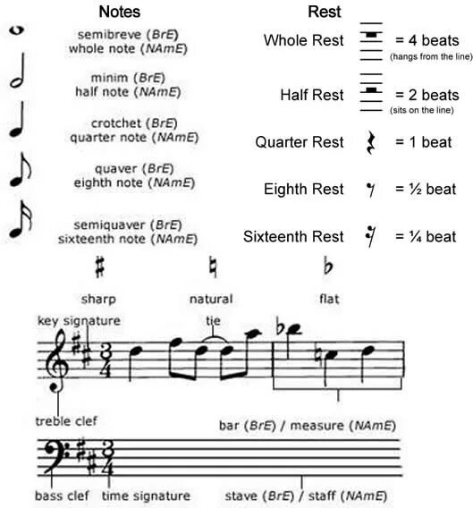 Английская нотация. Semibreve в Музыке. Musical notation for children. English Music Notes. Включи музыку на английском языке