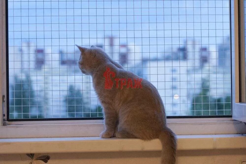 Решетка антикошка. Установка сеток антикошка на пластиковые окна. Вольер антикошка. Сетка антимошка. Установка сеток антикошка на пластиковые окна.