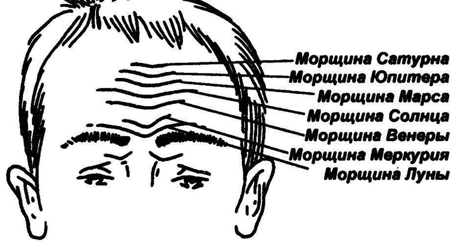 В лобе. Физиогномика морщины на лбу. Вертикальная линия на лбу. Горизонтальные складки на лбу.