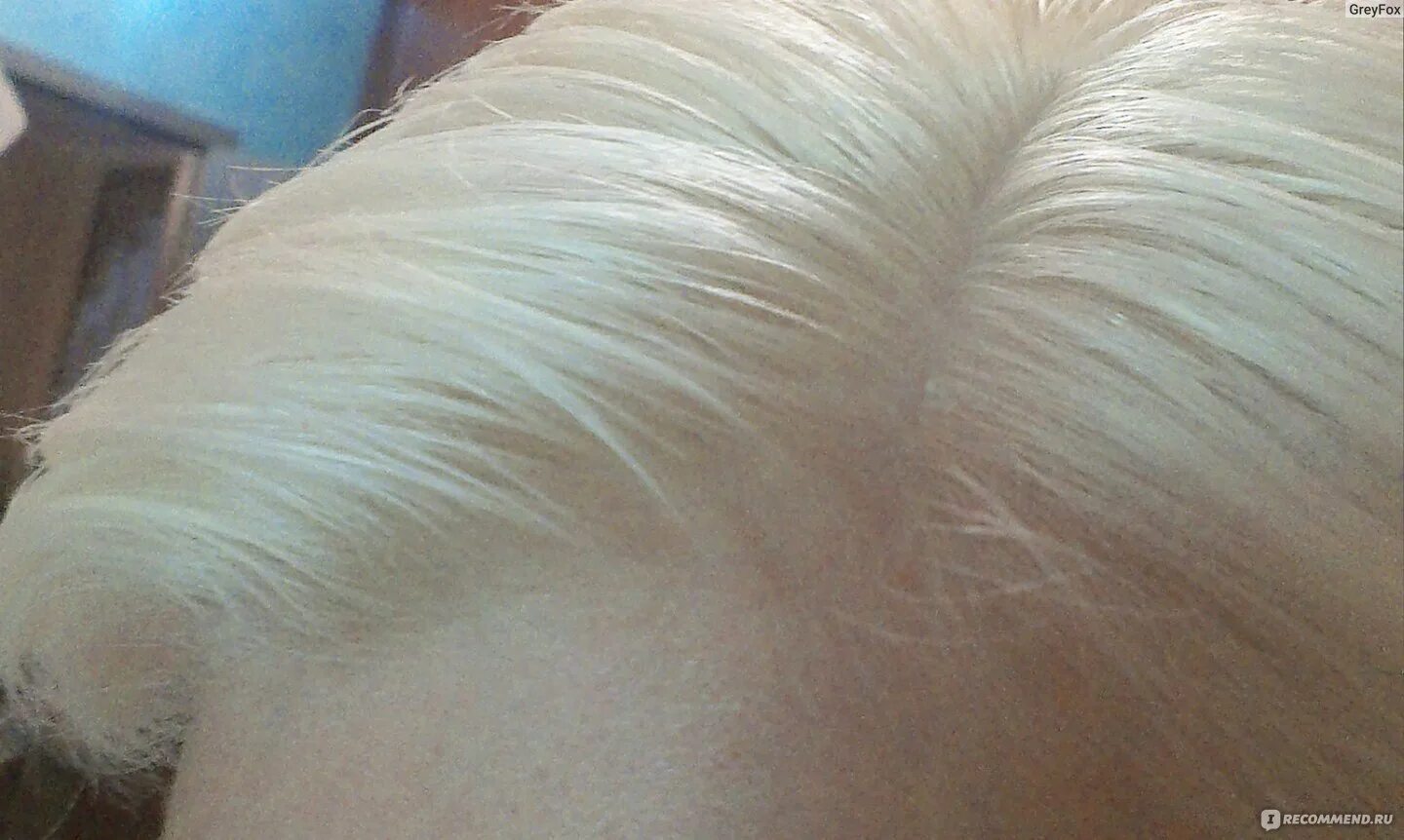 Обесцвечивание волос 3 процентным оксидом. Осветлитель на низком оксиде. Капус обесцвечивающий порошок. Осветление волос 3 процентным оксидом. На каком оксиде осветлить волосы