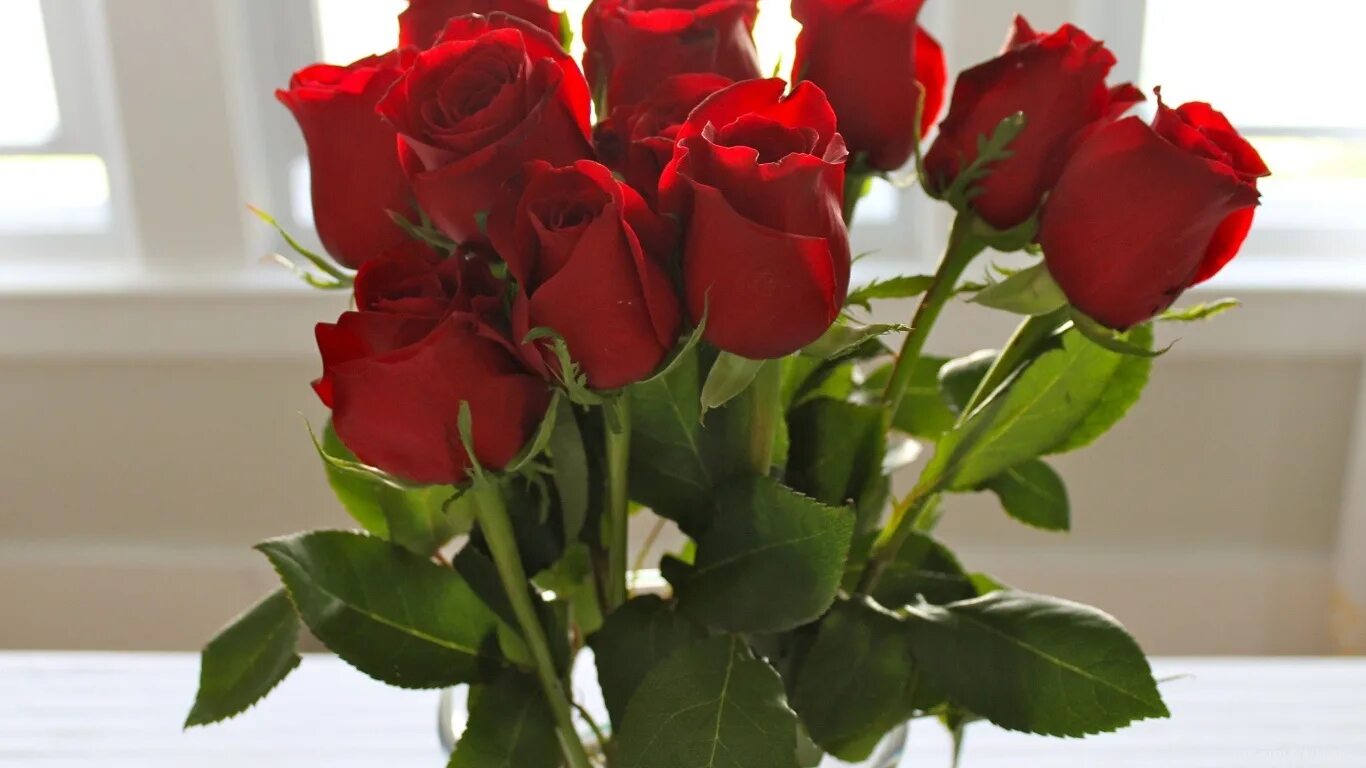 Букет роз к 8 марту. Букет красных роз. Голландские розы.