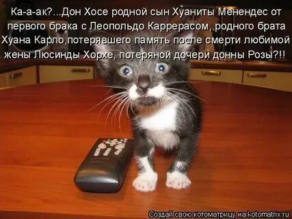 Да включи эту