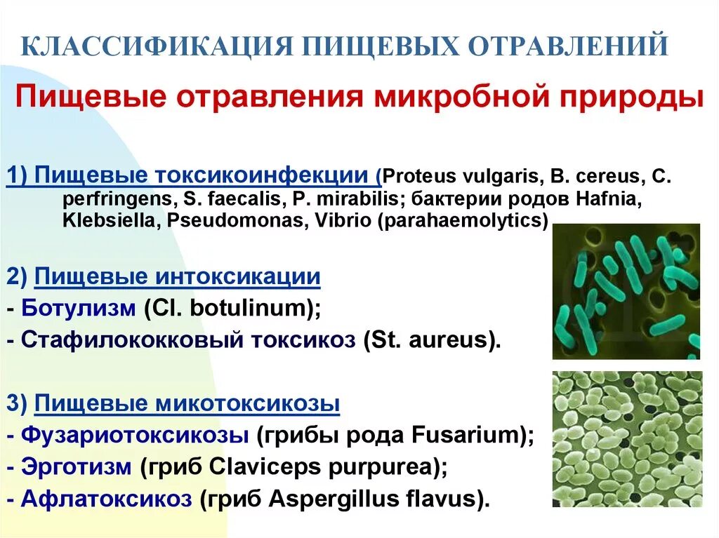 Кишечные инфекции тесты с ответами