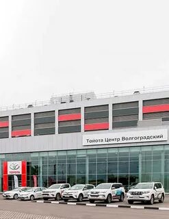 Рольф волгоградский