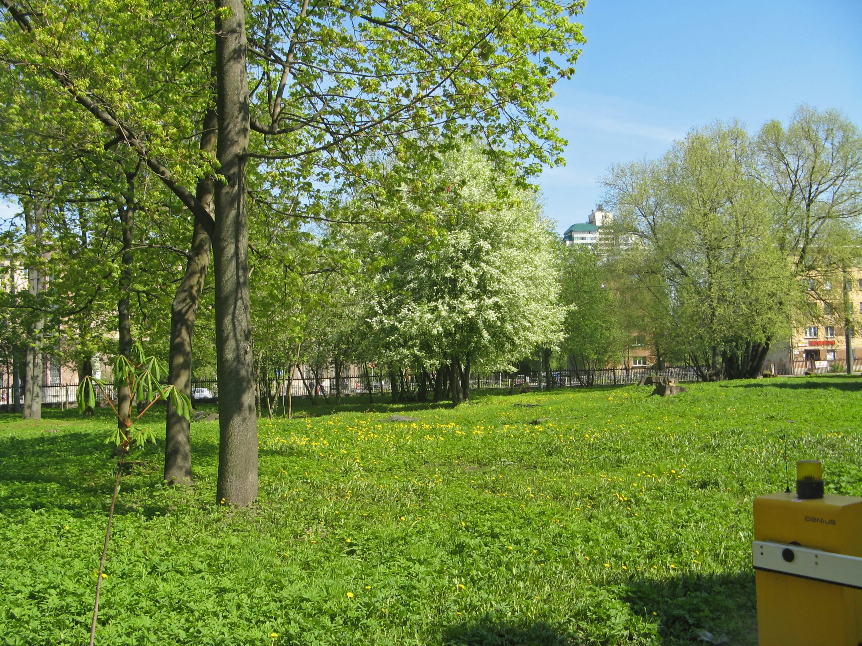 литовский сад петербург фото - Вечерний Питер. Новости Петербурга. Новости Спб. 