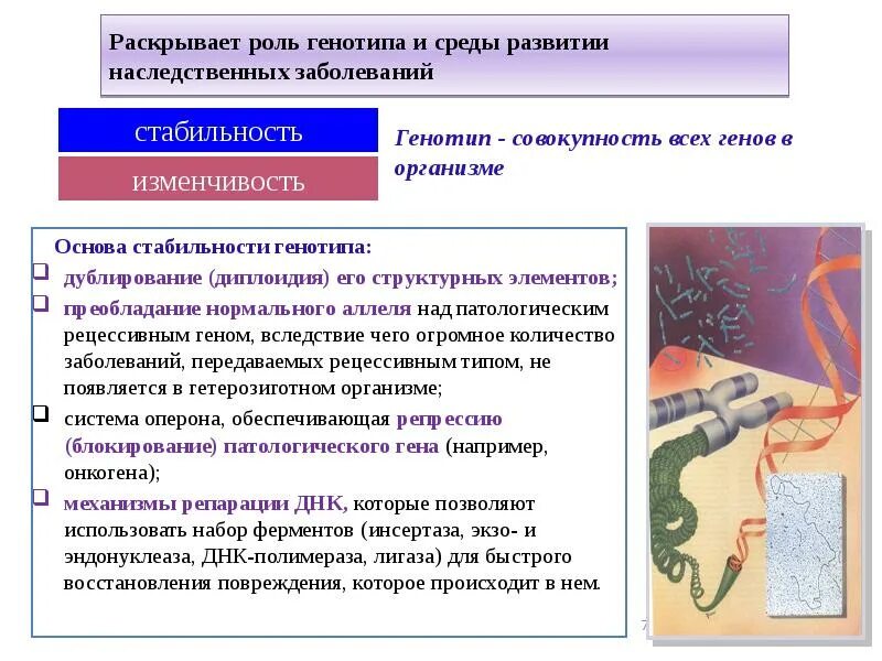 Условия развития болезней внешние и внутренние. Роль среды в развитии заболеваний. Роль среды в развитии заболеваний. Роль внешней среды в инфекционном процессе. Роль наследственных факторов в развитии болезней.