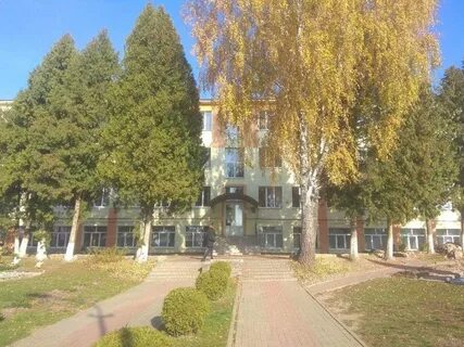 Гимназия дзержинска