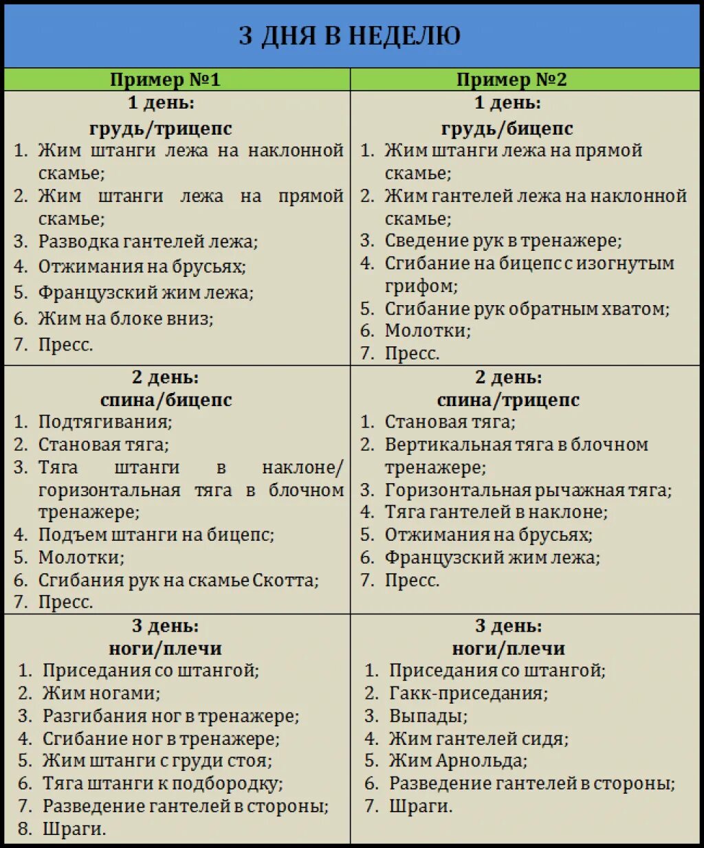 Программа тренировок первый день