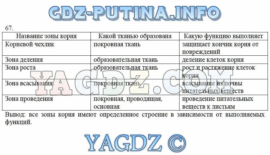 Задание 2.(6) Заполните таблицу. No 1 ско 3 5 3 2 5 MyShared Зона КОРНЯ - МегаУр